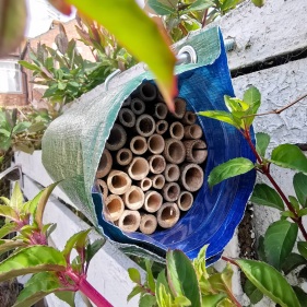 Bee hotel installed in garden