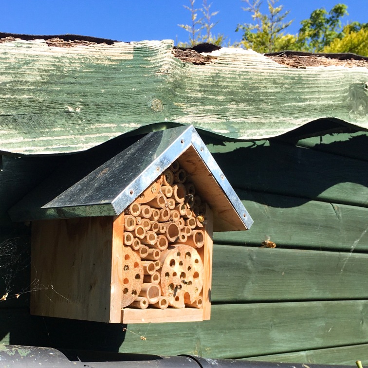 Occupied bee hotel with solitary bees hovering